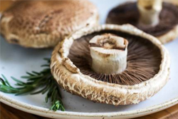Portabello Mushrooms